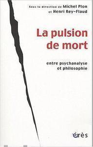 Henri Rey-Flaud, Michel Plon - La pulsion de mort
